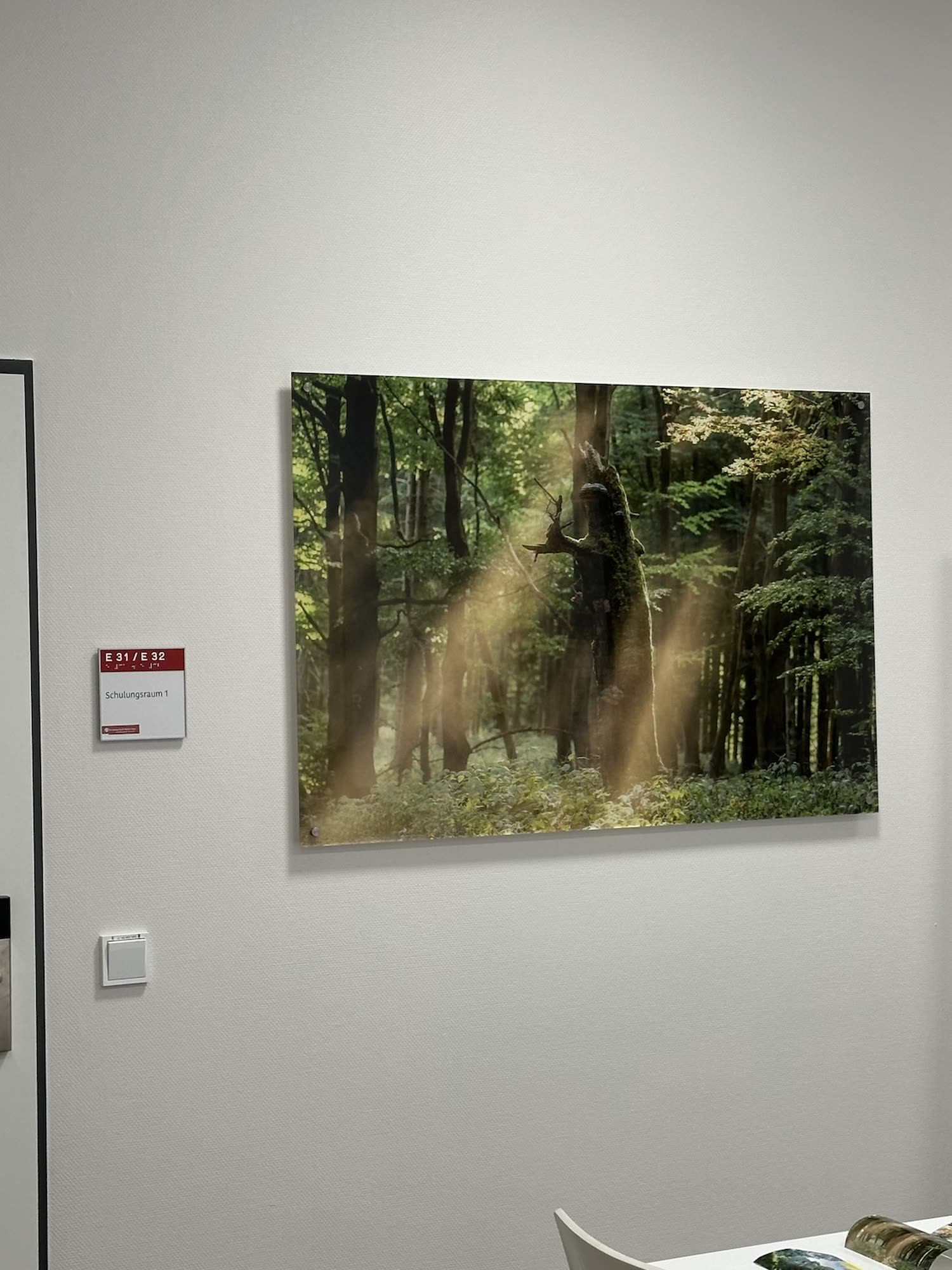 Großformat-Installation Bad Neuenahr 1